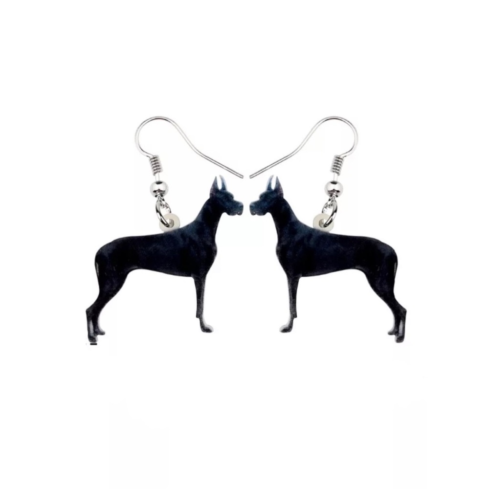 FREE SHIPPING | Double-Sided Acrylic Dangle Earrings NWT